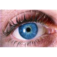 It’s All in the Eyes… Part 2